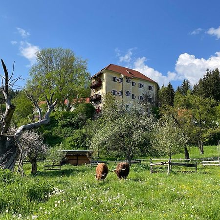 Hotel Landsitz Pichlschloss Neumarkt in Steiermark Exterior foto